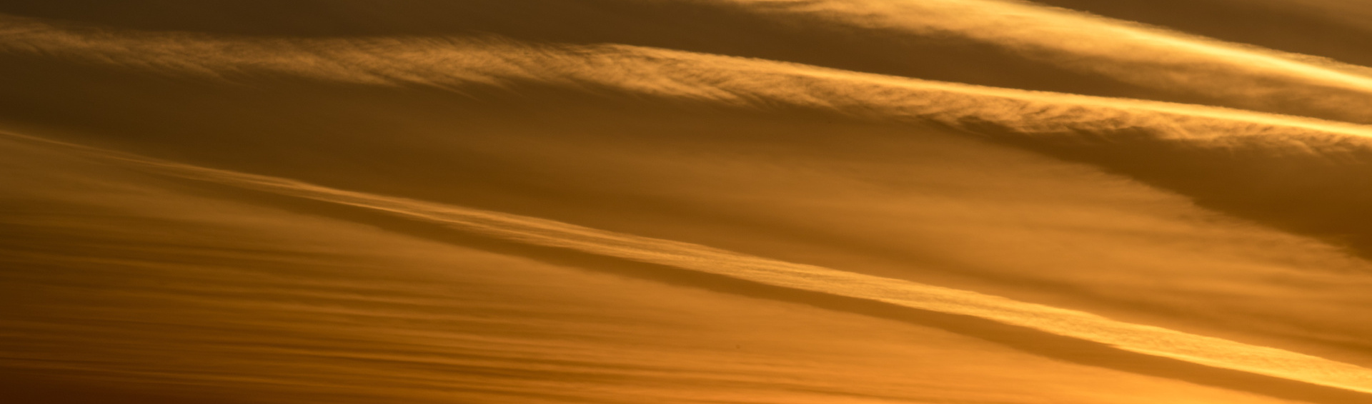 dune del deserto